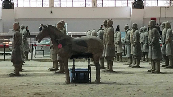 MARQ expondrá por primera vez en España diez figuras de Ejército de Terracota de Xi’an