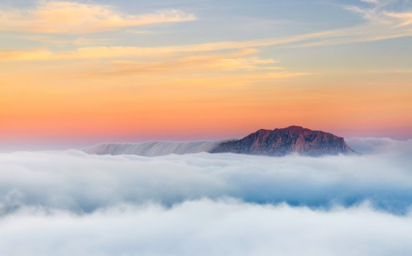 El Concurso Fotográfico de Naturaleza “Alicante Natural 2018” para plantar 10000 árboles en Alicante