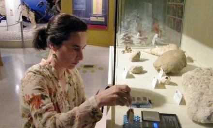 El Museo Paleontológico de Elche es pionero en testar un nuevo sensor de humedad elaborado con colágeno