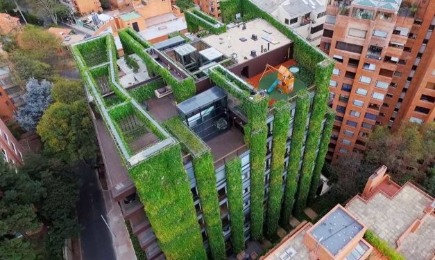 Ignacio Solano participa en la redacció del llibre “Agricultura urbana en altura”