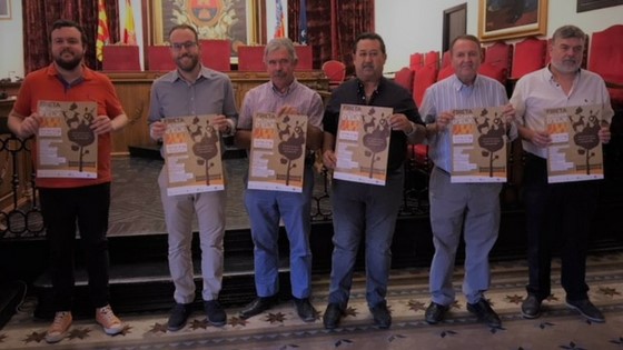 Cuenta atrás para la Fireta del Camp d’Elx