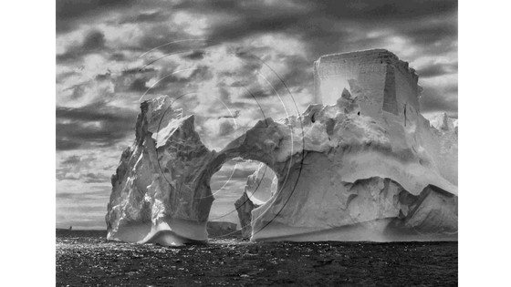 Sebastião Salgado lleva su arte a las calles de Alicante con su obra Génesis