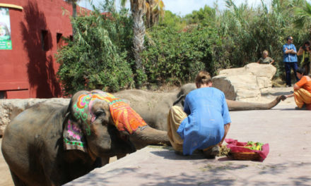 Terra Natura Benidorm se prepara para el Festival Holi con 200 kilos de polvos y 5.000 botellas de colores