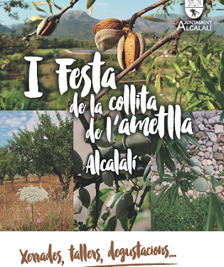 Alcalalí celebra la «I Festa de la Collita de l’Ametlla»