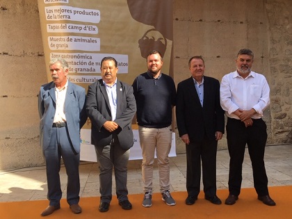 La Fireta del Camp d’Elx: una nova edició que segueix creixent