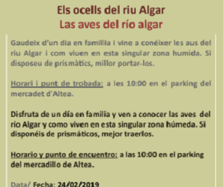 Altea centra el Día Mundial de los Humedales en conocer las aves del río Algar