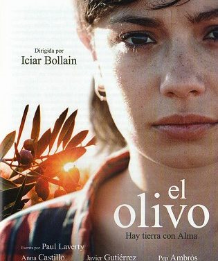 El Museu d’Aguas de Alicante es converteix en subseu del Festival de Cinema d’Alacant