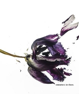 Comienzan los estrenos de las Aulas de Teatro y Danza de la UA