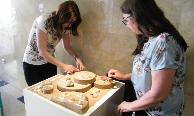 Una mostra de petxines del Mediterrani acosta la Malacologia als i les il·licitans-es