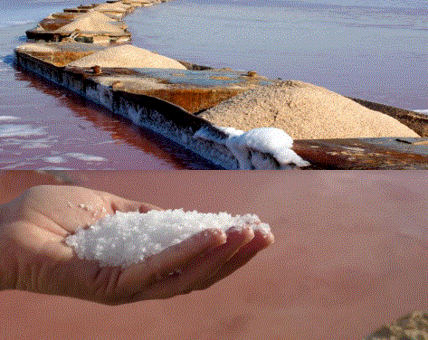 La Seu a Torrevella de la Universitat d’Alacant programa dues xarrades per a aquest setmana en la Societat Cultural Casino