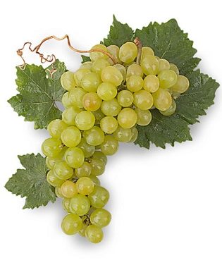 El raïm moscatell serà l’ingredient clau en la pròxima showcooking de Bruno Ruiz en el Mercat Municipal de Dénia