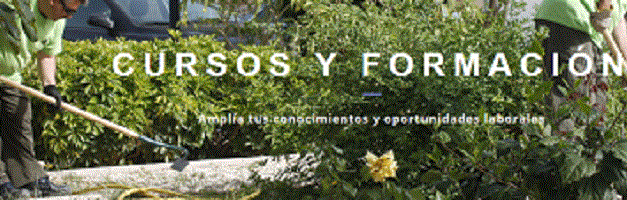 La Agencia Local de Desarrollo de Alicante abre el plazo de inscripción para los cursos de formación que comienzan en septiembre