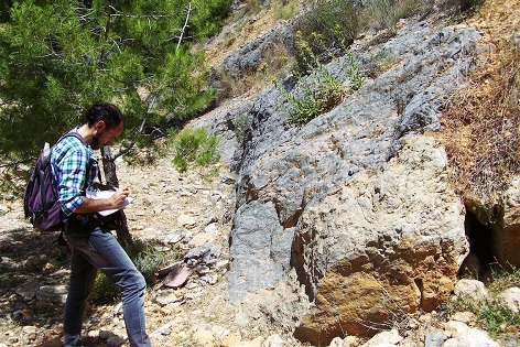 La Sociedad Española de Paleontología publica el modelo de gestión del MUPE de Elche