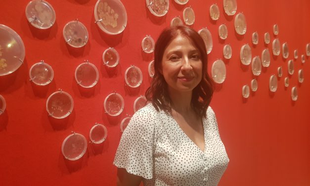 Ana Pastor: “no somos una individualidad sino una multitud que además nos influimos”
