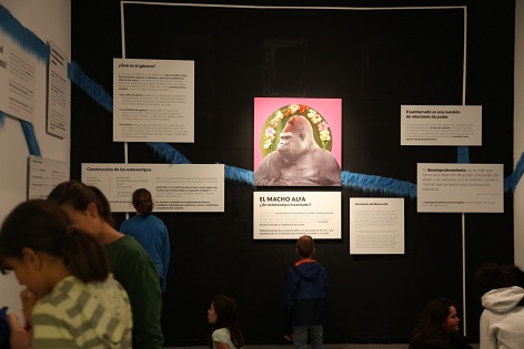 El MACA desarrolla el proyecto «Bricolaje social: aula de desempoderamiento del macho alpha», ganador de la Convocatoria RESET del Consorci de Museus