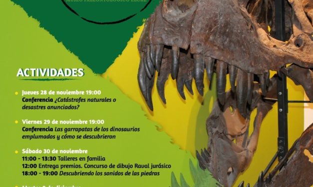 El Museo Paleontológico de Elche celebra su XV aniversario con una serie de conferencias y actividades para toda la familia