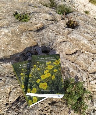 La Concejalía de Medio Ambiente edita la segunda edición del I volumen de “Flora Silvestre del Término Municipal de Orihuela”