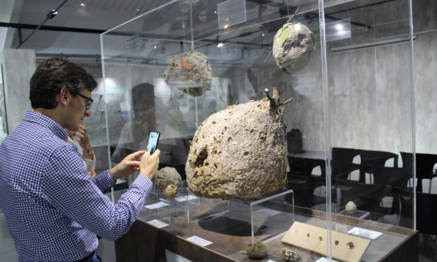 El Museo de Biodiversidad de Ibi registró 13.188 visitantes el pasado año