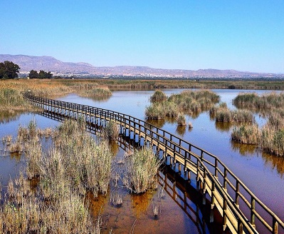 El Fondo d’Elx-Crevillent amplia la seua Zona d’Especial Protecció per als Ocells