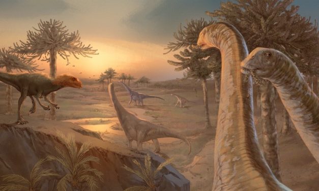 Descubren nuevos datos desde el MUPE sobre el éxito evolutivo de los dinosaurios saurópodos