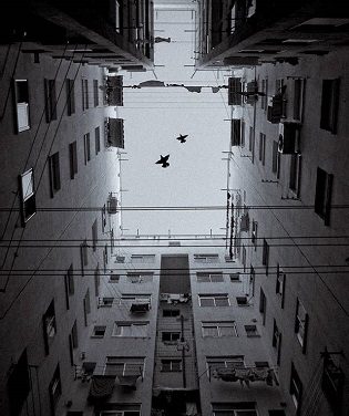 El Ayuntamiento de Alicante se une al proyecto de PHotoESPAÑA #PHEdesdemibalcón