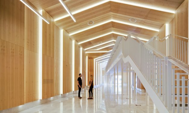 El Museo de Colecciones Naturales de la Universidad de Alicante gana el 2020 CID Award de Coverings