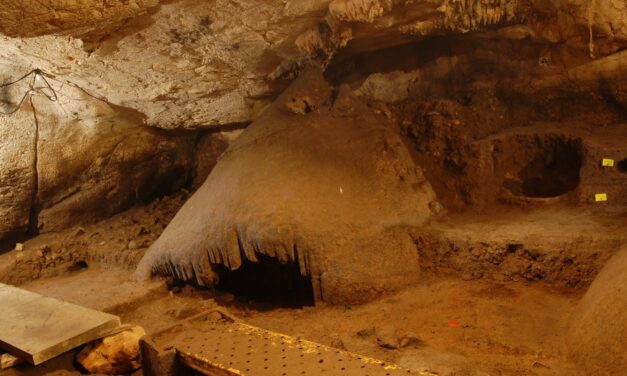 El MARQ arranca la campanya d’excavacions en la Cova del Randero de Pedreguer amb nous treballs en una galeria annexa