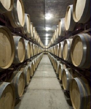 Las Bodegas Mendoza junto a la Concejalía de Turismo de l’Alfàs del Pi están trabajando en la promoción del enoturismo