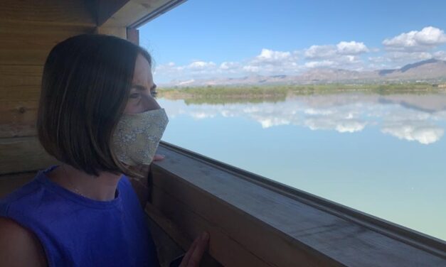 El parque natural de El Hondo en Elche estrena un observatorio de aves