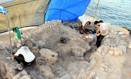 Arranca la campanya d’excavacions en Lucentum i en la Illeta dels Banyets