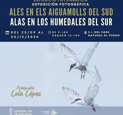 Inaugurada al Parc Natural del Fondo l’exposició fotogràfica ‘Ales en els aiguamolls del sud’