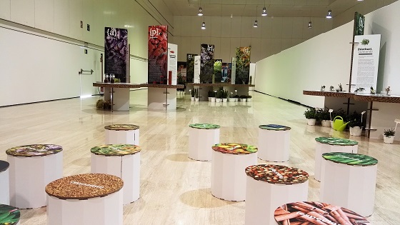 L’exposició «Espècies: l’univers del sabor» arriba a la Seu de la Universitat d’Alacant