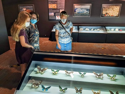 El Museo de la Biodiversidad de Ibi renovará mobiliario, vitrinas y equipos informáticos gracias a una subvención de 6.500 euros de la Generalitat