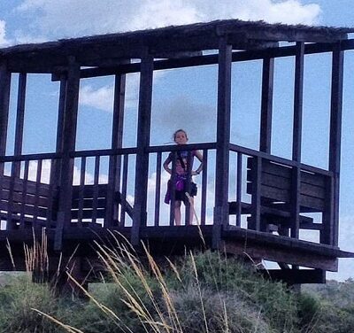 El Ayuntamiento de Elche remodelará una de las charcas del Clot de Galvany