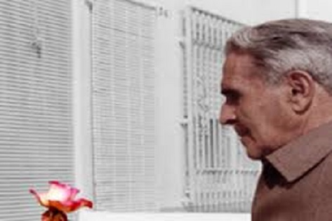 Una escriptora de l’Havana i una altra de Canals guanyen el Certamen de Poesia Paco Mollá