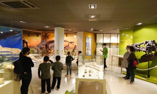 Las visitas al Museo Paleontológico de Elche aumentan un 28% en Semana Santa