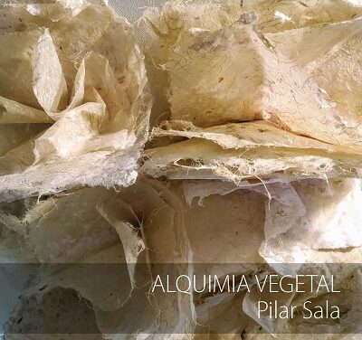 La Sede Ciudad de Alicante inaugura la exposición «Alquimia vegetal» de Pilar Sala