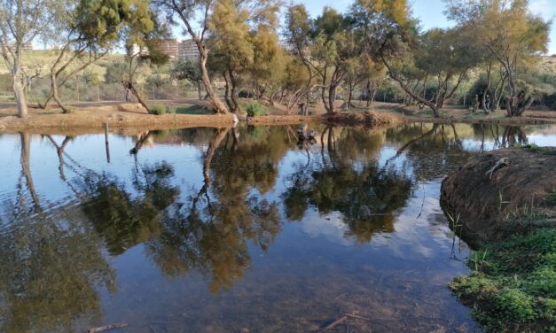 Medio Ambiente presenta una nueva charca en el Clot de Galvany para mejorar la biodiversidad de la zona