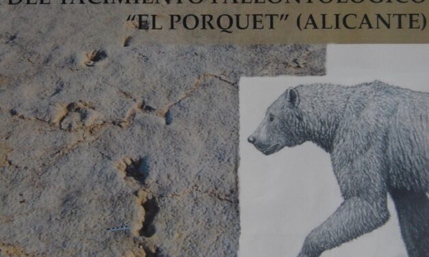 Los restos paleontológicos de millones de años de antigüedad y la base de una torre del XVI, propuestos para una ruta medioambiental en Alicante