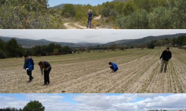 Finaliza el estudio de los orígenes de los paisajes rurales del término de Ibi