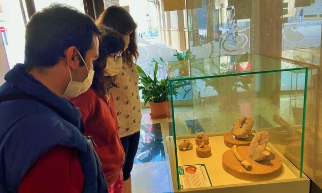 El MUPE invita a recorrer el pasado marino ilicitano de hace 100 millones de años