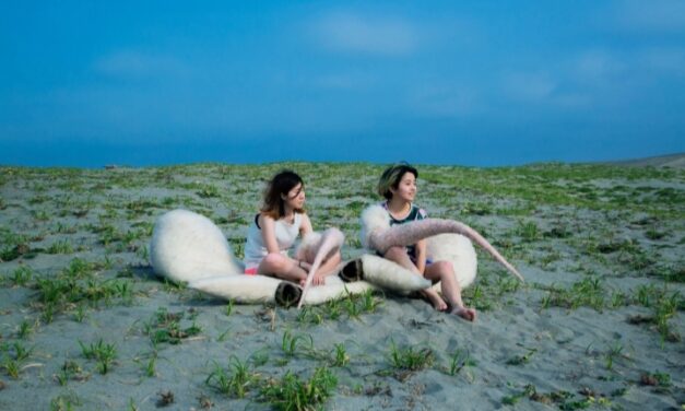 Las Cigarreras presenten l’exposició de Negre «La clausura del cos» la primera de videoart japonés a Alacant