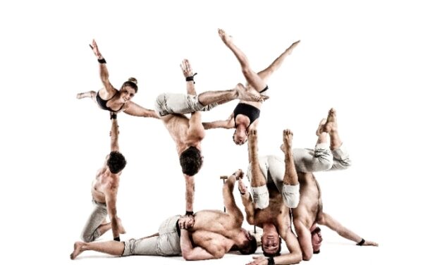 Desde Australia llegan las acrobacias de Gravity & Other Myths al Festival FRESCA! de Cultura de la Generalitat