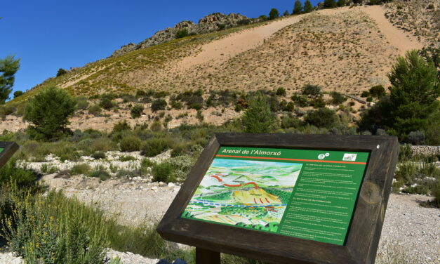 Petrer recibe una subvención de 11.000 euros para la conservación y mejora del Arenal de L’Almorxó
