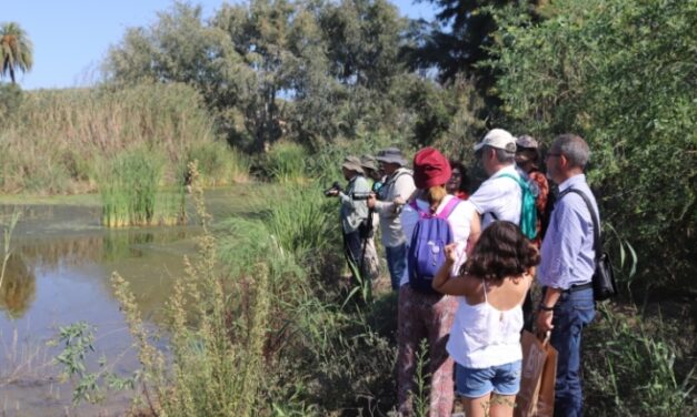 El Clot de Galvany un oasis en equilibrio entre protección a la biodiversidad y el turismo sostenible