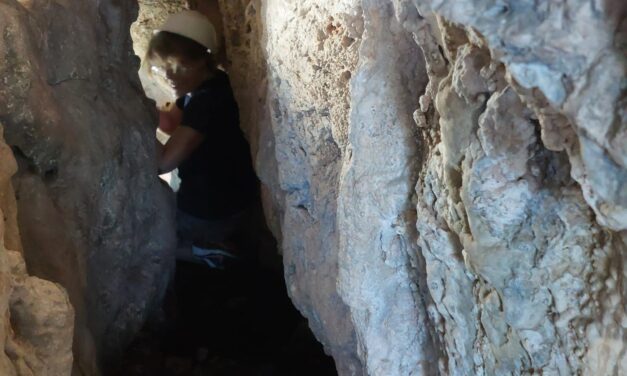 Arqueólogos del MARQ hallan relevantes cerámicas del Neolítico en una grieta de la Cova de l’Or de Beniarrés