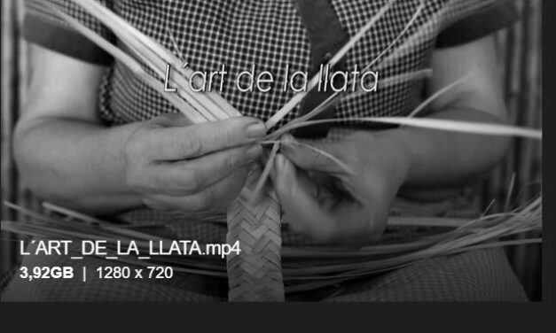 Els documentals La Caja Vacía y El pecio Bou Ferrer de la Vila Joiosa guanyen els Premis DOCS Alacant del Gil-Albert