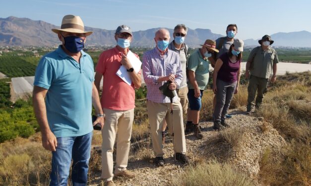 El Grupo Popular de Orihuela desvela la parálisis en actividades de Patrimonio Histórico, entre otras, la rehabilitación de Las Norias y la Fase II de Saladares