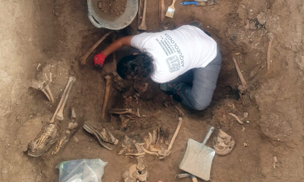 Petrer inicia las excavaciones en la fosa XII del cementerio de Alicante para recuperar los restos de los dos represaliados de Petrer, fusilados en 1940