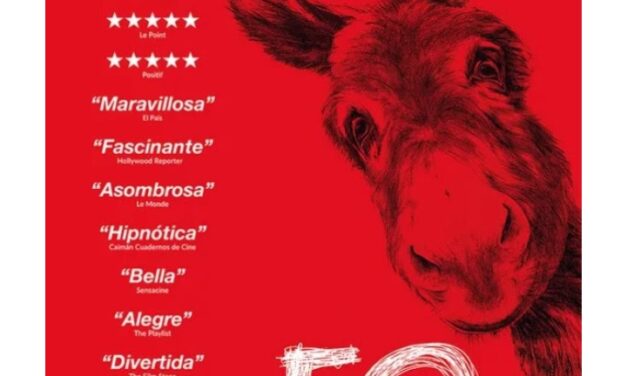 Preestreno cinematográfico de «EO» en los Cines Aana de Alicante